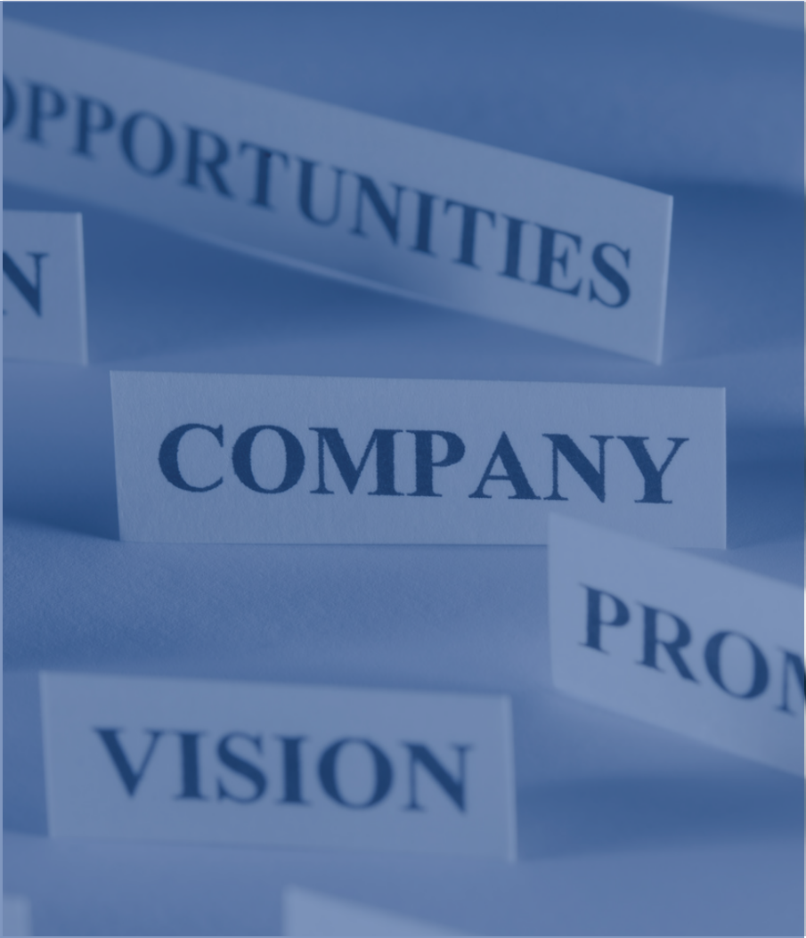 Company Profile
