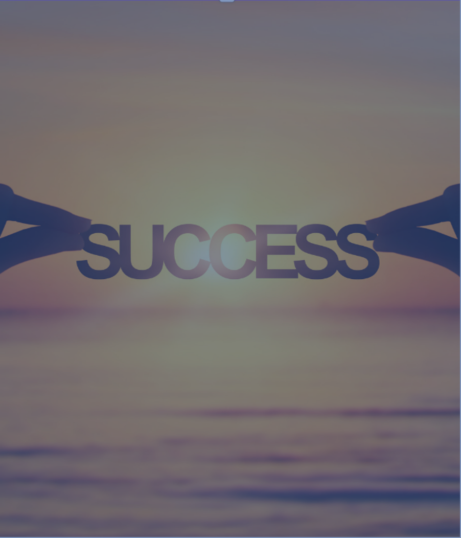 Success Story